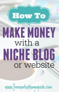 How to Make Money with a Niche Blog or Website?