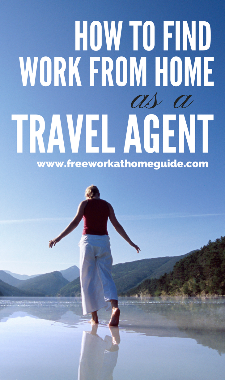 what does a homeworker travel agent do